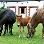 Palace Отель типа 