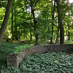Palace 3* Старе-Попово