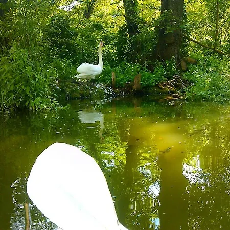 Bed & Breakfast Palace Popowo Stare