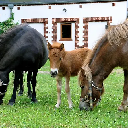 Palace Bed & Breakfast