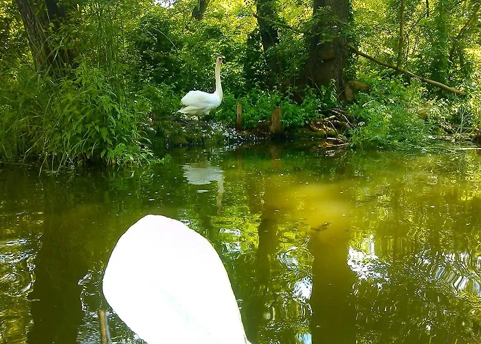 Bed & Breakfast Palace Popowo Stare