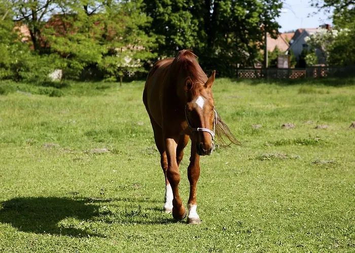 Bed & Breakfast Palace