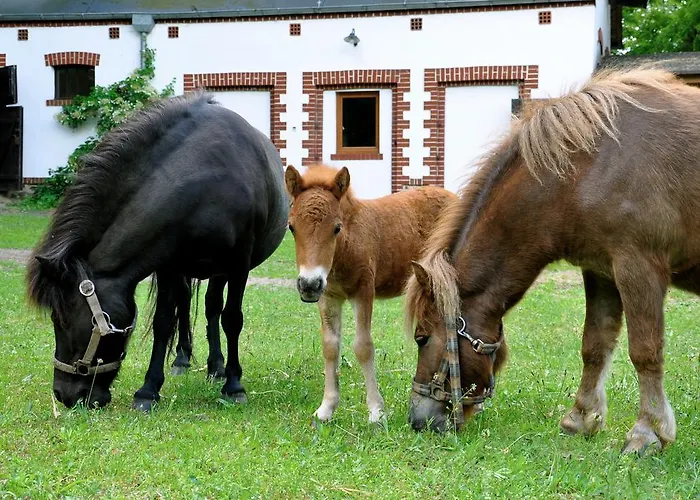 Palace Bed and Breakfast