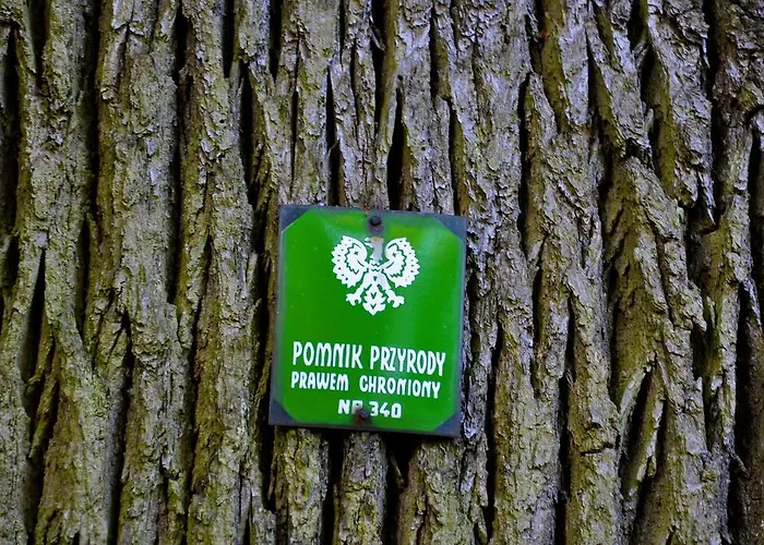 Palace Bed and Breakfast 3*