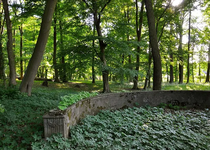 Palace 3* Popowo Stare